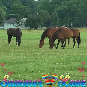 Meet your Posher, Kim